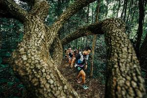 BIB: 
                            <button type="button" onclick="openModal(25393097)" class="btn btn-primary btn-sm float-right btn-popup" data-toggle="modal" data-target=".modal-high-quality">
                        <i class="fas fa-shopping-cart"></i> Add to Cart
                    </button>
                                            <button type="button" onclick="isThisMe(25393097, true)" class="btn btn-success btn-sm float-right btn-popup btn-isme hidden" data-toggle="tooltip" data-placement="bottom" title="นี่คือรูปของคุณใช่ไหม คลิกที่นี่เพื่อเอาเข้าอัลบั้ม">
                        <i class="fas fa-plus"></i> Add to album
                    </button>
                    <button type="button" onclick="isThisMe(25393097, false)" class="btn btn-warning btn-sm float-right btn-popup btn-isnotme hidden">
                        <i class="fas fa-ban"></i> Remove from album
                    </button>